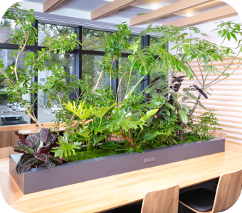 10年以上のチームワーク